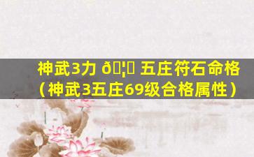 神武3力 🦍 五庄符石命格（神武3五庄69级合格属性）